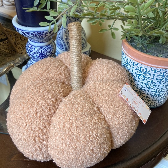 NEW! Fall Harvest FARMHOUSE Cottage Sherpa Peach & Cream Autumn Pumpkin Pillow - Picture 7 of 11
